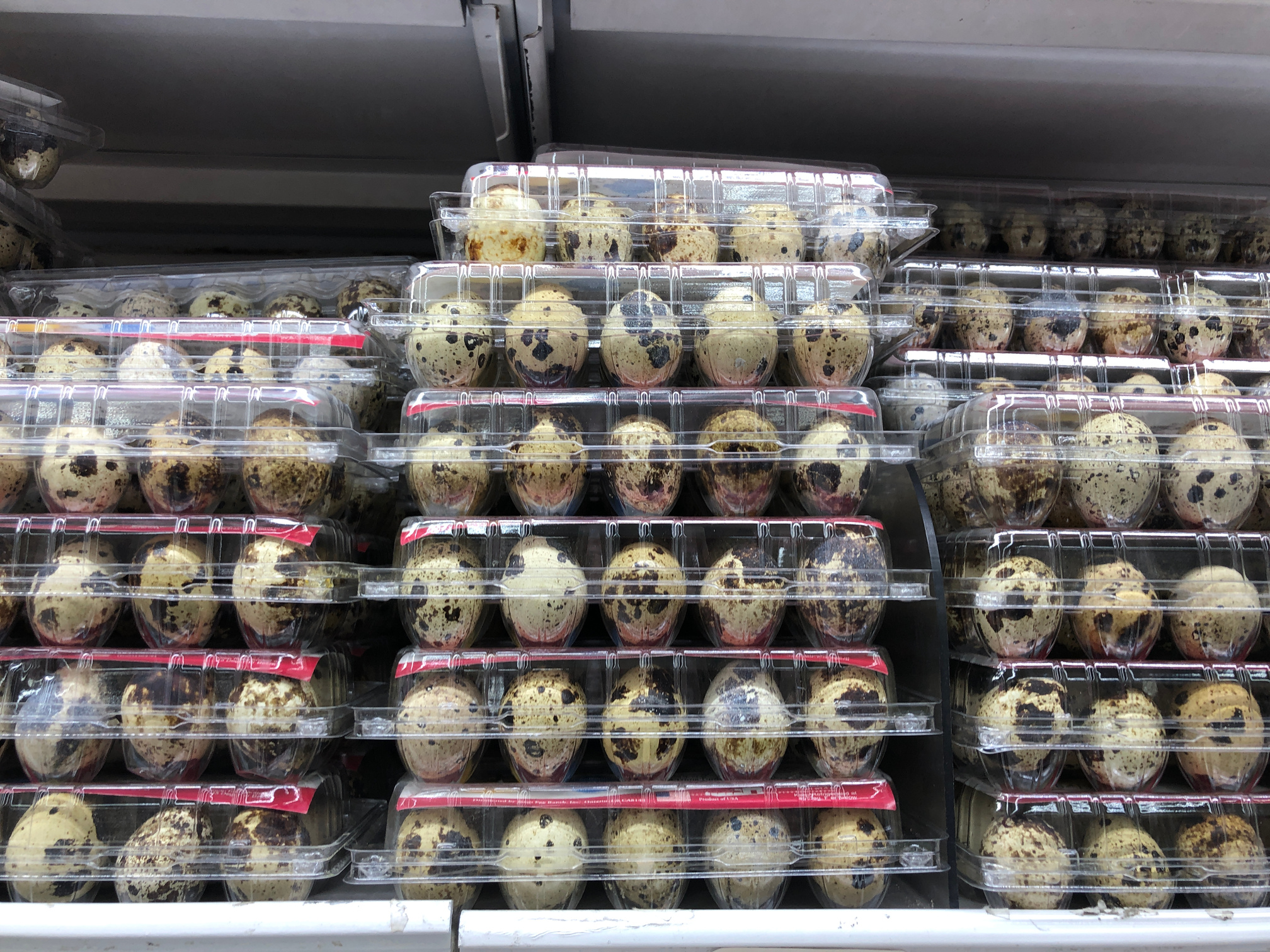 Quail eggs